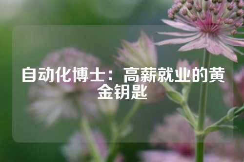 自动化博士：高薪就业的黄金钥匙