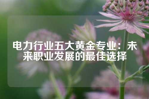 电力行业五大黄金专业：未来职业发展的最佳选择