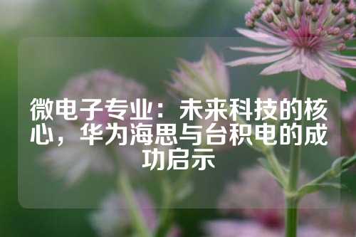 微电子专业：未来科技的核心，华为海思与台积电的成功启示