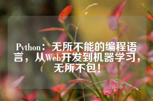 Python：无所不能的编程语言，从Web开发到机器学习，无所不包！