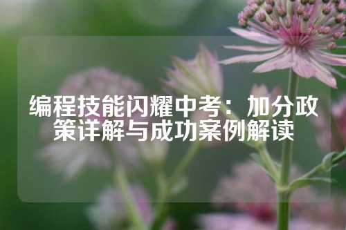 编程技能闪耀中考：加分政策详解与成功案例解读