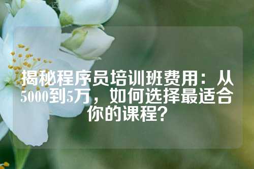 揭秘程序员培训班费用：从5000到5万，如何选择最适合你的课程？