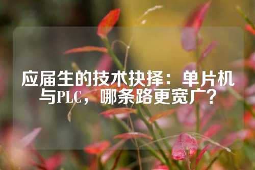 应届生的技术抉择：单片机与PLC，哪条路更宽广？
