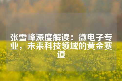 张雪峰深度解读：微电子专业，未来科技领域的黄金赛道