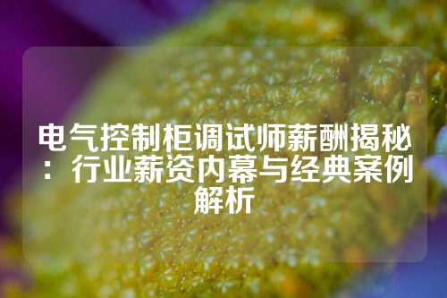 电气控制柜调试师薪酬揭秘：行业薪资内幕与经典案例解析