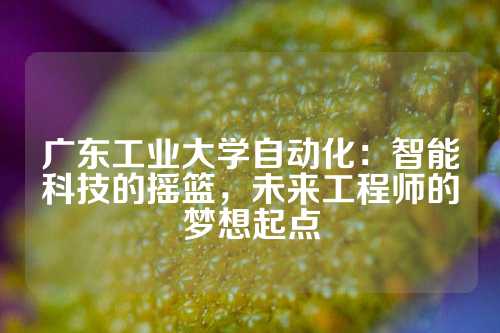 广东工业大学自动化：智能科技的摇篮，未来工程师的梦想起点
