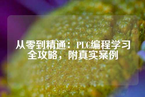 从零到精通：PLC编程学习全攻略，附真实案例