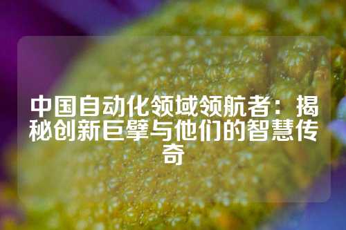 中国自动化领域领航者：揭秘创新巨擘与他们的智慧传奇