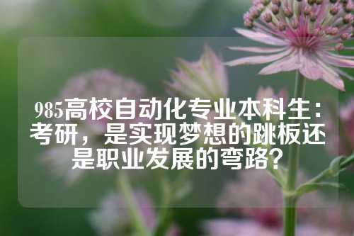 985高校自动化专业本科生:考研,是实现梦想的跳板还是职业发展的弯路?