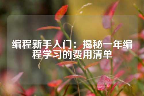 编程新手入门：揭秘一年编程学习的费用清单