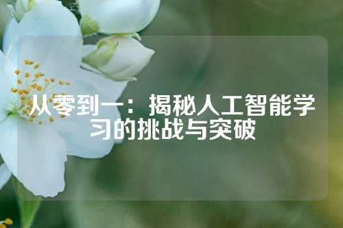 从零到一：揭秘人工智能学习的挑战与突破