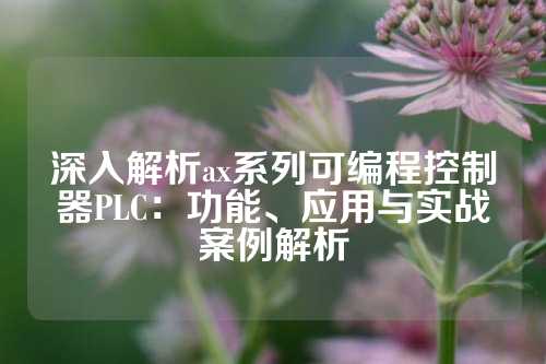 深入解析ax系列可编程控制器PLC：功能、应用与实战案例解析