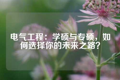 电气工程：学硕与专硕，如何选择你的未来之路？