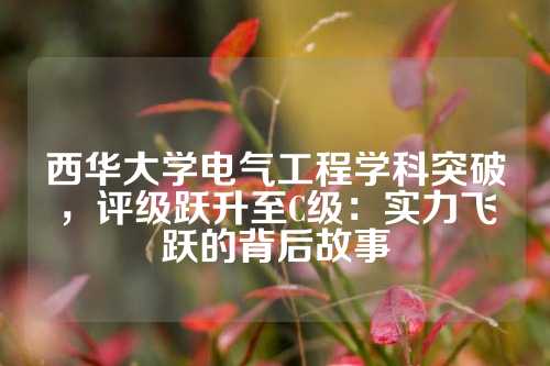西华大学电气工程学科突破，评级跃升至C级：实力飞跃的背后故事
