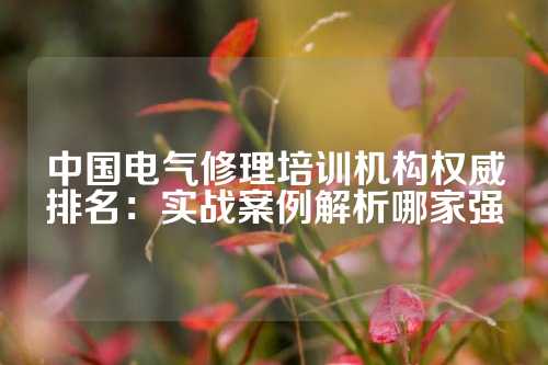 中国电气修理培训机构权威排名：实战案例解析哪家强