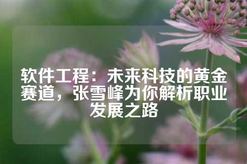 软件工程：未来科技的黄金赛道，张雪峰为你解析职业发展之路
