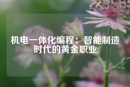 机电一体化编程：智能制造时代的黄金职业