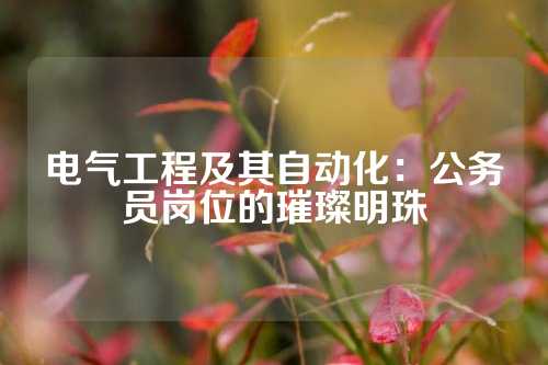 电气工程及其自动化：公务员岗位的璀璨明珠