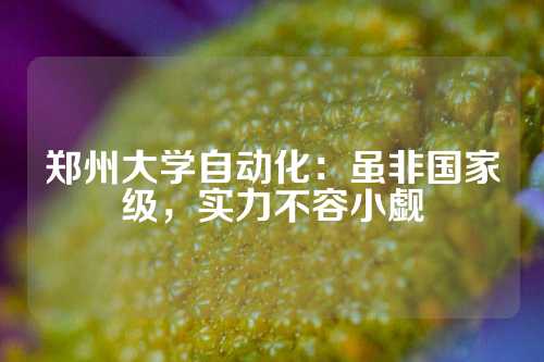 郑州大学自动化：虽非国家级，实力不容小觑
