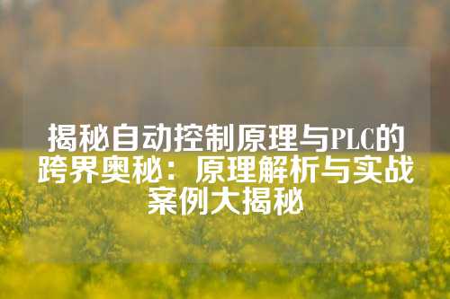 揭秘自动控制原理与PLC的跨界奥秘：原理解析与实战案例大揭秘