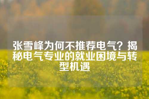 张雪峰为何不推荐电气？揭秘电气专业的就业困境与转型机遇