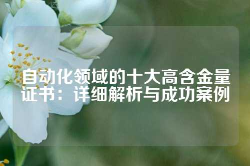 自动化领域的十大高含金量证书:详细解析与成功案例