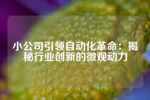 小公司引领自动化革命：揭秘行业创新的微观动力