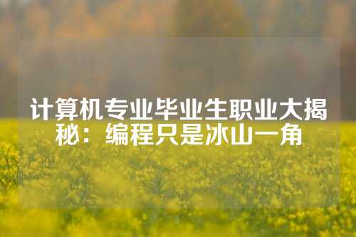 计算机专业毕业生职业大揭秘：编程只是冰山一角