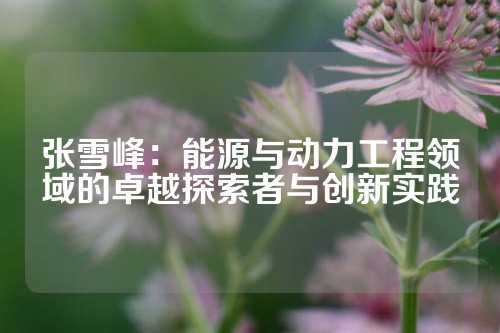 张雪峰：能源与动力工程领域的卓越探索者与创新实践