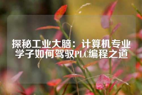 探秘工业大脑：计算机专业学子如何驾驭PLC编程之道