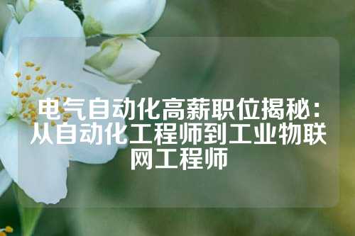 电气自动化高薪职位揭秘：从自动化工程师到工业物联网工程师
