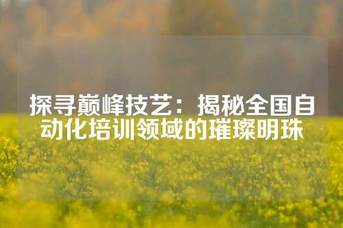 探寻巅峰技艺：揭秘全国自动化培训领域的璀璨明珠