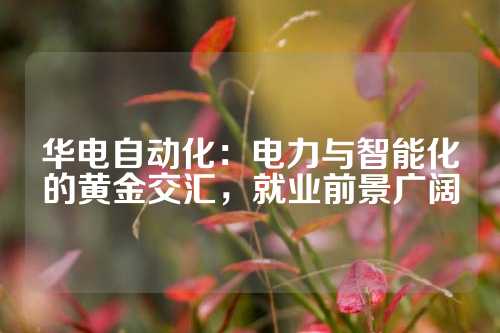 华电自动化：电力与智能化的黄金交汇，就业前景广阔