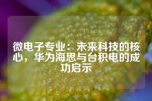 微电子专业：未来科技的核心，华为海思与台积电的成功启示