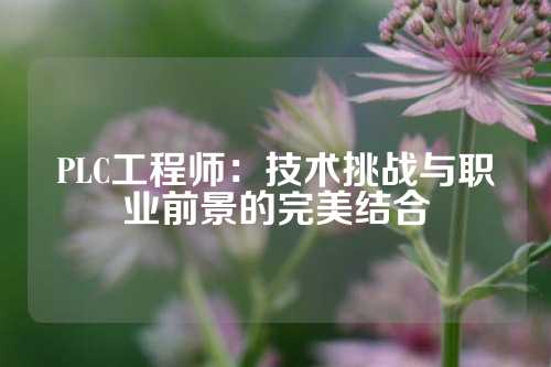 PLC工程师：技术挑战与职业前景的完美结合