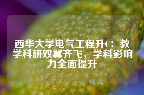 西华大学电气工程升C：教学科研双翼齐飞，学科影响力全面提升