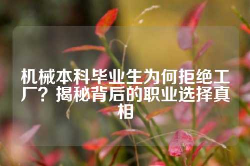 机械本科毕业生为何拒绝工厂？揭秘背后的职业选择真相