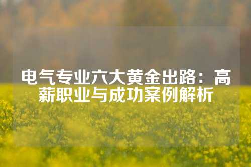 电气专业六大黄金出路：高薪职业与成功案例解析