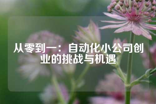 从零到一：自动化小公司创业的挑战与机遇