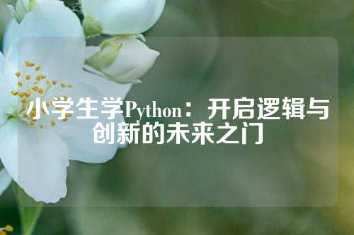 小学生学Python：开启逻辑与创新的未来之门