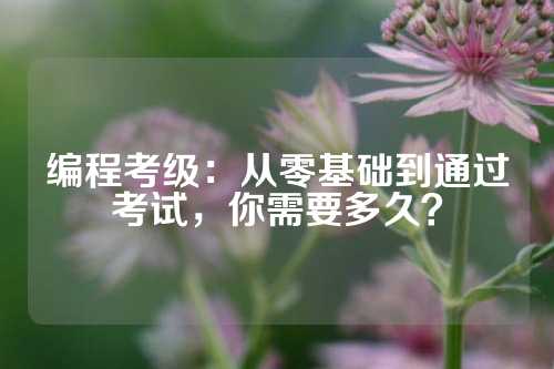 编程考级：从零基础到通过考试，你需要多久？