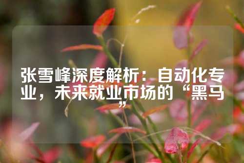 张雪峰深度解析：自动化专业，未来就业市场的“黑马”