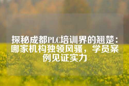探秘成都PLC培训界的翘楚：哪家机构独领风骚，学员案例见证实力