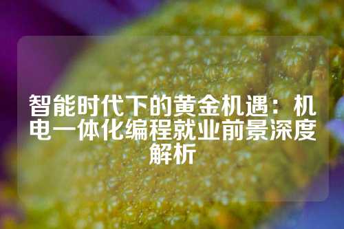 智能时代下的黄金机遇：机电一体化编程就业前景深度解析