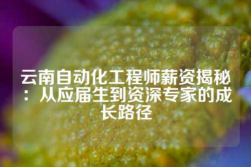 云南自动化工程师薪资揭秘：从应届生到资深专家的成长路径