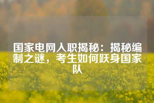 国家电网入职揭秘：揭秘编制之谜，考生如何跃身国家队