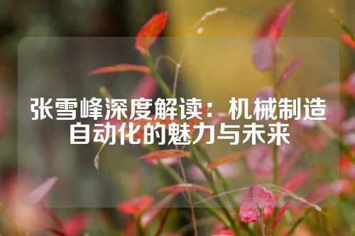 张雪峰深度解读：机械制造自动化的魅力与未来