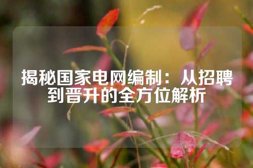 揭秘国家电网编制：从招聘到晋升的全方位解析