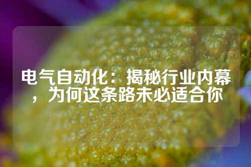 电气自动化：揭秘行业内幕，为何这条路未必适合你