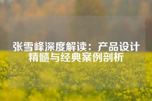 张雪峰深度解读：产品设计精髓与经典案例剖析